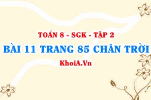 Bài 11 trang 85 Toán 8 Chân trời sáng tạo Tập 2